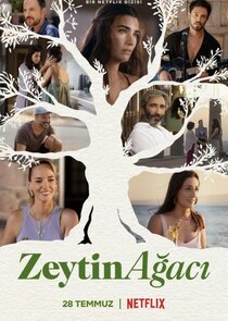 Zeytin Agaci