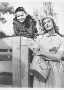 National Velvet