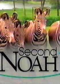 Second Noah